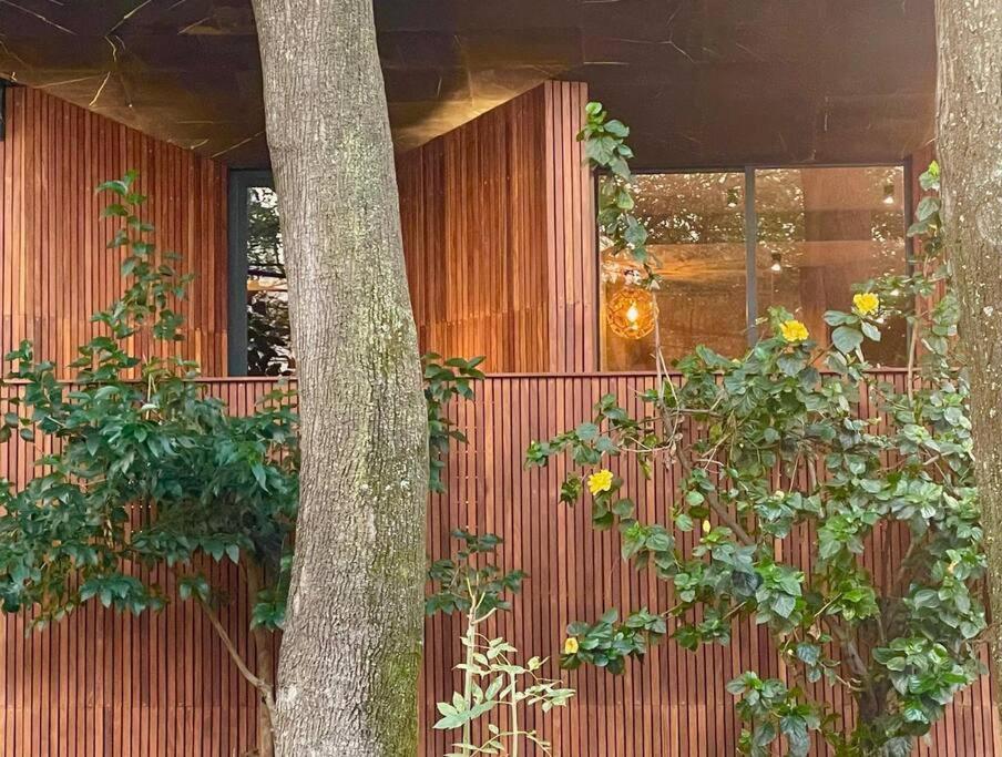 Casa Roma * Mexico City